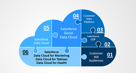 Salesforce_Data Strategy